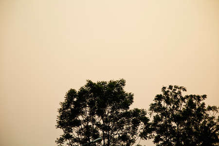 Sun sets sky cloudlessの写真素材