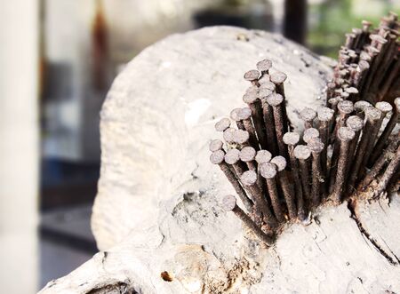 Rusty nails stuck in the wood.の写真素材