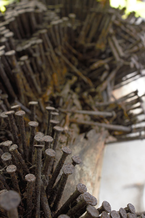 Rusty nails stuck in the wood.の写真素材