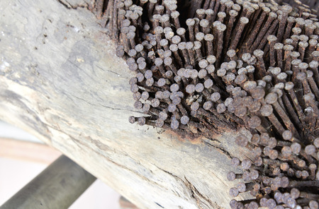 Rusty nails stuck in the wood.の写真素材