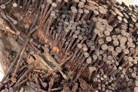 Rusty nails stuck in the wood.の写真素材