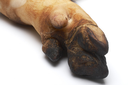 bake Pork Leg On
 a white background.の写真素材