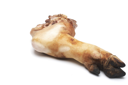 bake Pork Leg On
 a white background.の写真素材