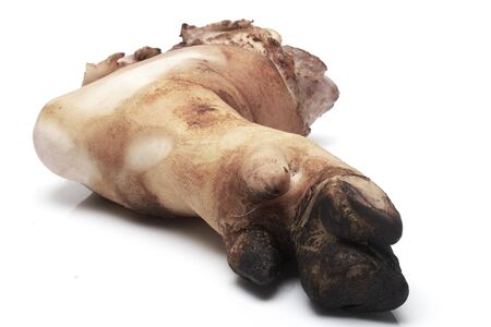 bake Pork Leg On
 a white background.の写真素材