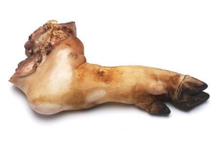 bake Pork Leg On
 a white background.の写真素材
