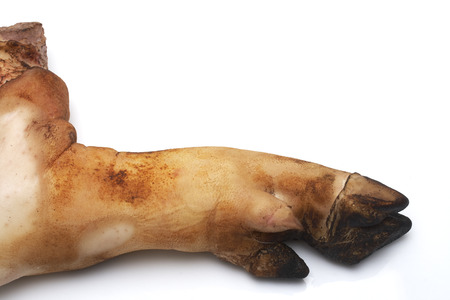 bake Pork Leg On
 a white background.の写真素材