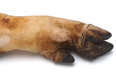 bake Pork Leg On
 a white background.の写真素材