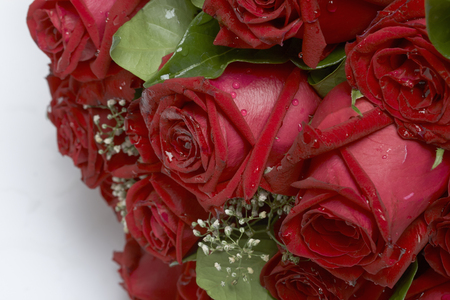 Bouquet of red rosesの写真素材