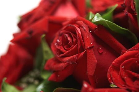 Bouquet of red rosesの写真素材