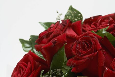 Bouquet of red rosesの写真素材