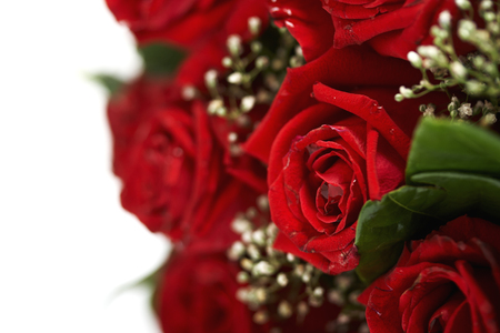 Bouquet of red rosesの写真素材