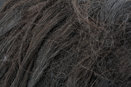 damaged hairの写真素材
