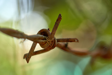 Barbed wire, steelの写真素材