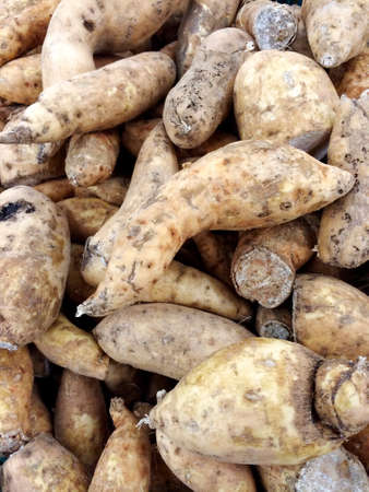 sweet potato in the marketの写真素材