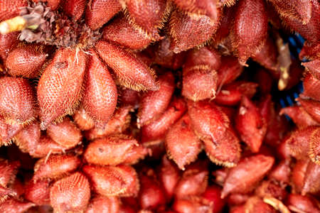 Red Fruit Salacca, Red Fresh Salacca, Salak Bali, zalaccaの写真素材