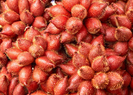 Red tropical fruit Salacca or zalaccaの写真素材