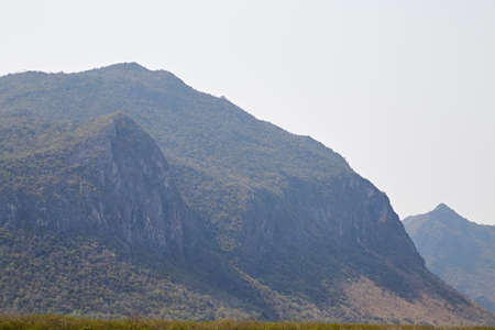 edge of a mountain covered of green trees against a clear blue sky. Copy space