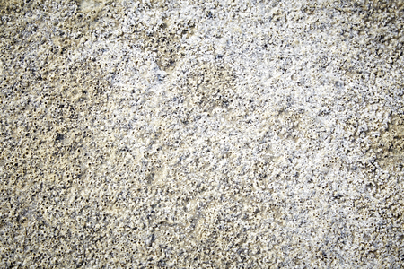 soil salt crystals, Salt flats, Saline Soilの写真素材