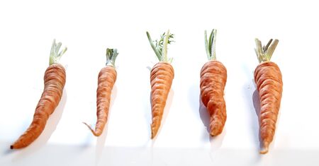 Carrot vegetable with leaves isolated on white background cutoutの写真素材