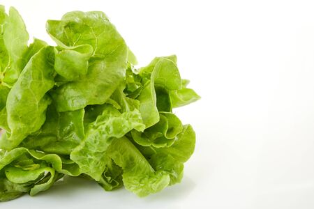 lettuce isolated on white background with shadowの写真素材