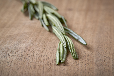 rosemary on old wood tableの写真素材