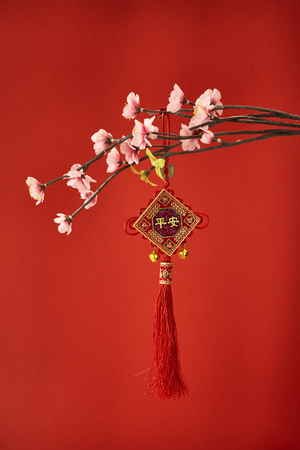 Chinese new year's decoration for Spring festivalの写真素材