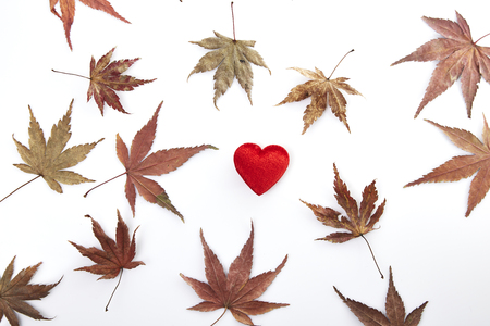two red heart and autumn leaves, Our passion for two peopleの写真素材