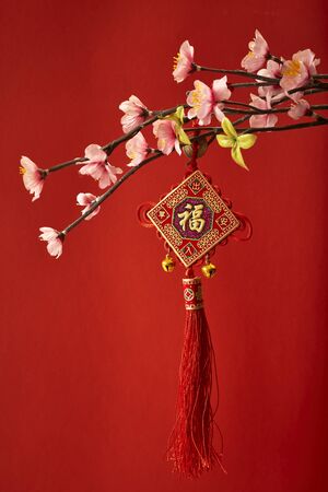 Chinese new year's decoration for Spring festivalの写真素材
