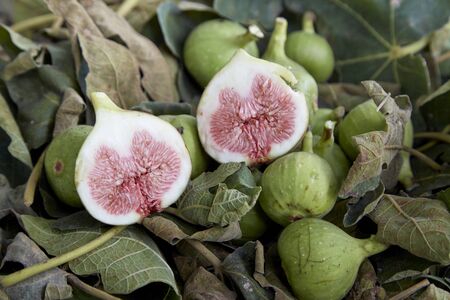 Ripe figs in with leaves