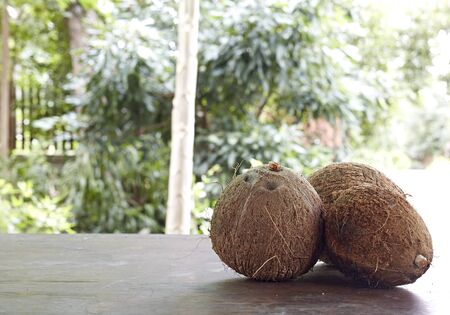 Whole and broken coconut on the tableの写真素材