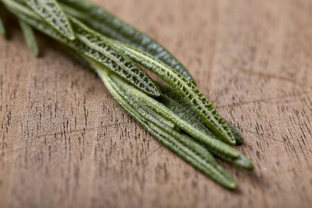 rosemary on old wood tableの写真素材