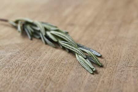 rosemary on old wood tableの写真素材