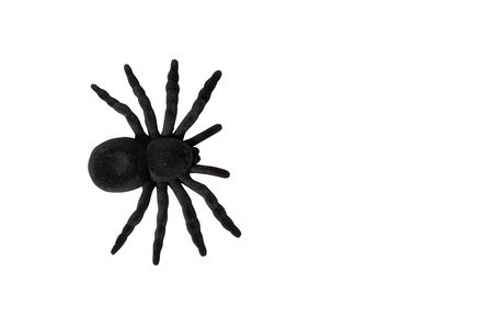 black spider toy isolated on white.の写真素材