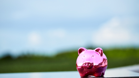 Pink Piggy Bank In A Green Field  nature backgroundの写真素材