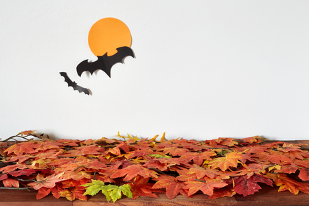 Happy Halloween pumpkin head on leaves white backgroundの写真素材
