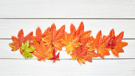 Colorful autumn leaves on a old wooden background