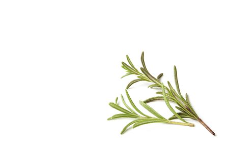 Rosemary isolated on white background, Top viewの写真素材