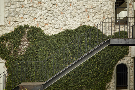 Beautiful Home Exterior, The concept of living with natureのeditorial素材