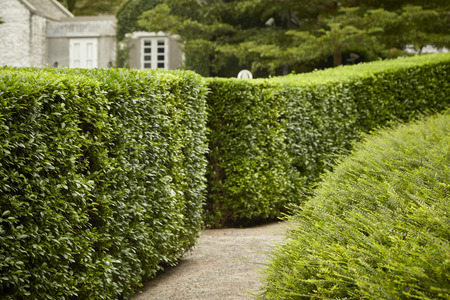 Beautiful Home Exterior, The concept of living with natureのeditorial素材