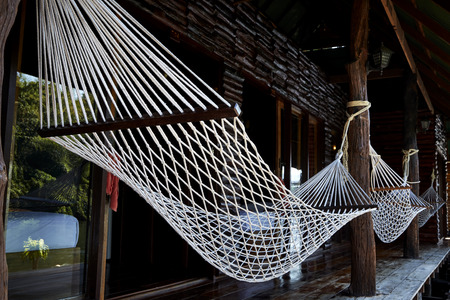 beautiful colorful summer hanging chair palm tree nature backgroundの写真素材