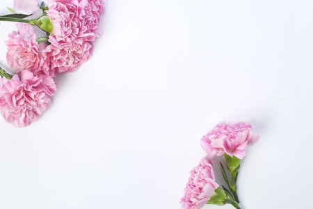 Pink carnations flower for Mother's day on white background