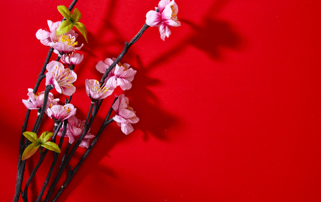 chinese new year decorations, Plum blossom on red paper top view with copyspaceの写真素材