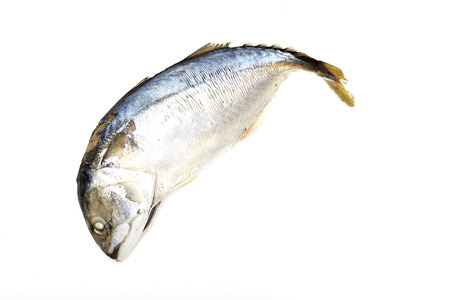 Fresh Mackerel fried isolate on white ,Thai food Flat lay, top view, minimal concept, copy space