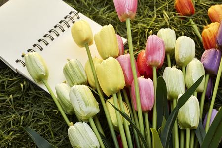 Colorful Tulips with Blank Note. And black coffee Mug Put on the Lawn. Easter, spring concept. Flat lay, top view, copy space.の写真素材