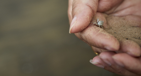 Small crab in the hand concept of  Earth Day , Coastal ecosystemsの写真素材