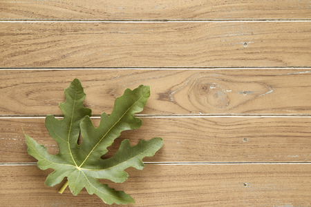 fig leaves on wooden background. Concept minimal. Top view.の写真素材
