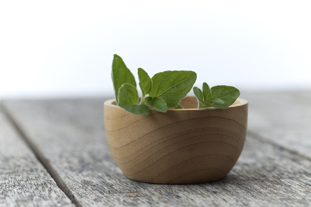 Fresh green Herb Oregano in a bowl on rustic wooden backgroundの写真素材
