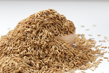 Paddy seeds in wooden bowl on white backgroundの写真素材