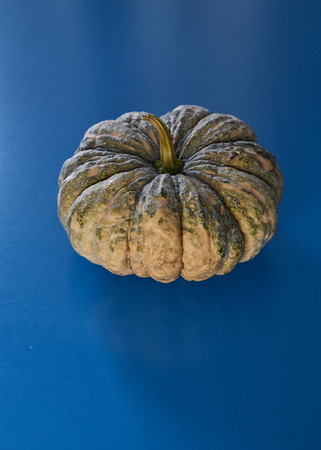 Halloween thanksgiving green pumpkin on blue background flat layの写真素材