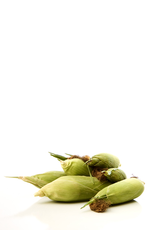 Fresh corn raw foods Isolated on white backgroundsの写真素材